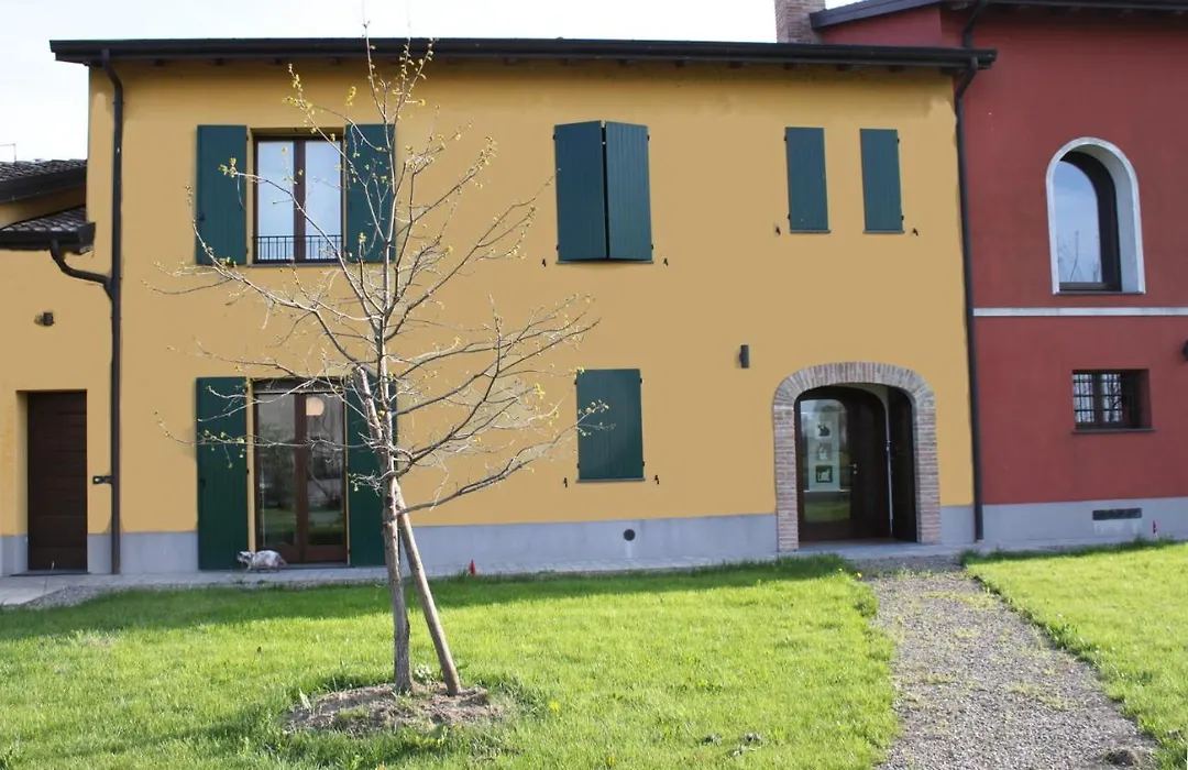 La casa dei gatti-1